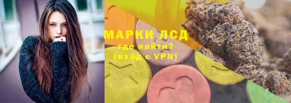 PSILOCYBIN Алзамай