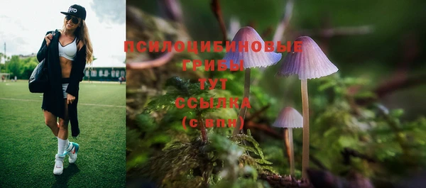 PSILOCYBIN Алзамай