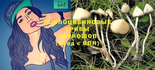 амфетамин Алексеевка