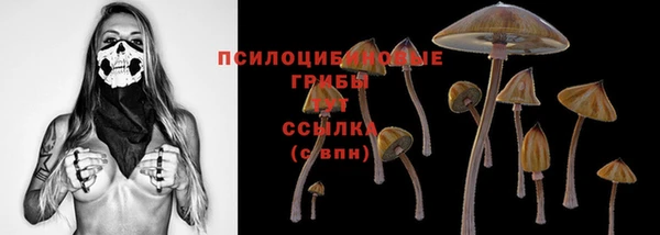 амфетамин Алексеевка