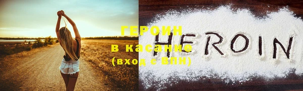 PSILOCYBIN Алзамай